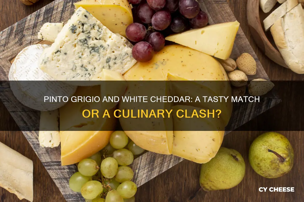 does pinto grigio go well with white cheddar cheese