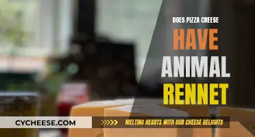 Pizza's Secret: Does Cheese Use Animal-Derived Coagulating Agent?