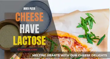 Pizza Cheese and Lactose: Unraveling the Dairy Mystery