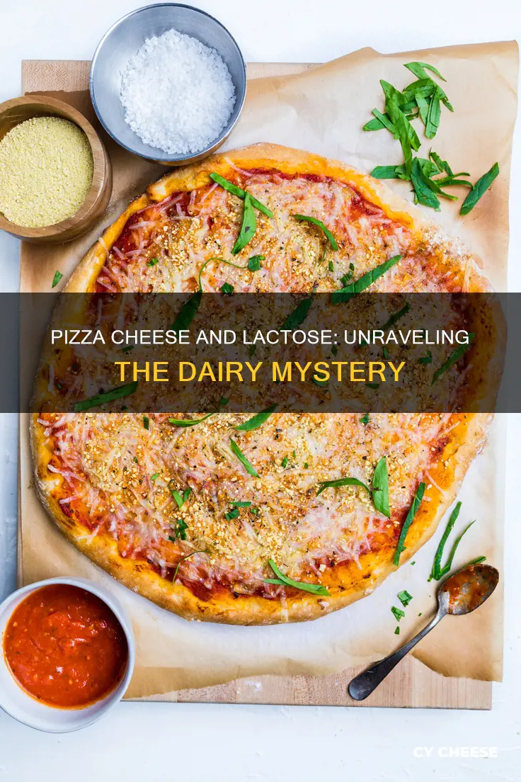 does pizza cheese have lactose