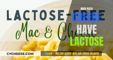 Cheese and Lactose: The Pizza Conundrum