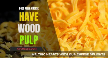 Cheese and Wood Pulp: The Surprising Truth About Pizza Toppings