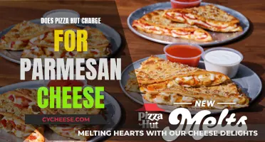 Pizza Hut's Parmesan Cheese: Is There a Cost?