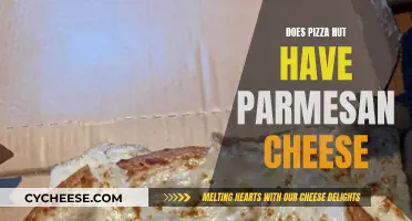 Pizza Hut's Parmesan: A Tasty Topping or a Marketing Gimmick?