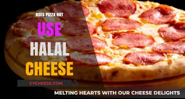 Pizza Hut's Cheese: Halal or Not?