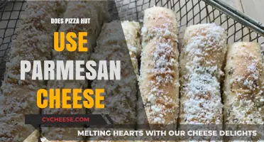 Pizza Hut's Parmesan: Real or Fake?
