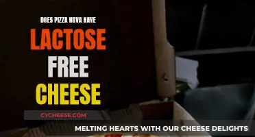 Pizza Nova's Lactose-Free Cheese: A Tasty, Dairy-Free Option?