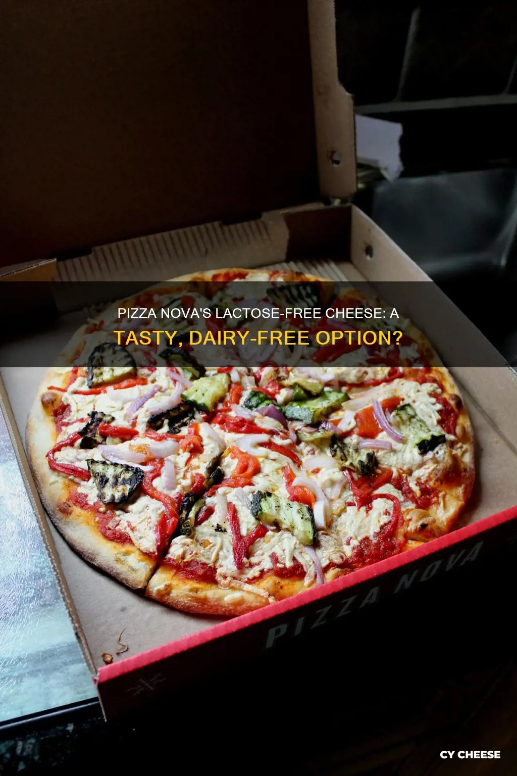 Pizza Nova's Lactose-Free Cheese: A Tasty, Dairy-Free Option? | CyCheese