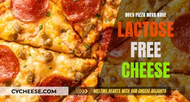 Pizza Nova's Lactose-Free Cheese Option: What You Need to Know