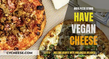 Vegan Pizza Lovers: Can You Get Cheese-Free Pizza at Pizza Studio?