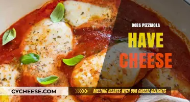 Does Pizzaiola Include Cheese? Unraveling the Classic Italian Sauce Mystery