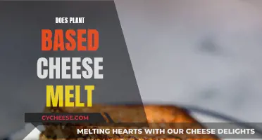 Melting Mystery: Does Plant-Based Cheese Melt Like Dairy?