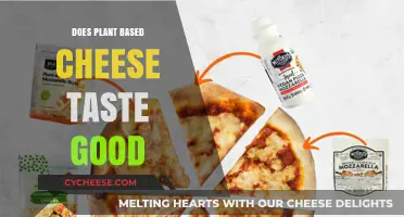 Plant-Based Cheese: Delicious or Disgusting?
