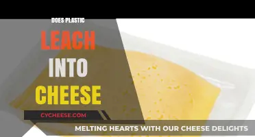 Does Plastic Leach into Cheese? Unwrapping the Truth About Packaging