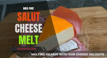 Melting Port Salut: Does This Cheese Melt Easily?