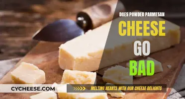 Parmesan Powder: Does It Go Bad?