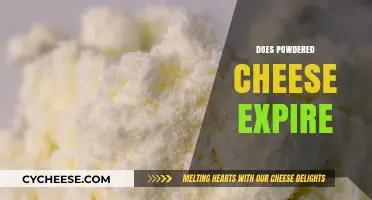 Does Powdered Cheese Expire? Shelf Life and Storage Tips Revealed