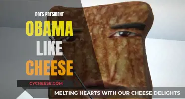 Obama's Cheesy Adventures: A Presidential Taste Test
