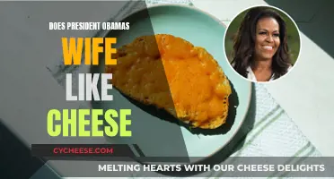 Michelle Obama's Favorite Cheeses: A Tasty Exploration
