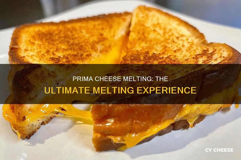 does prima cheese melt