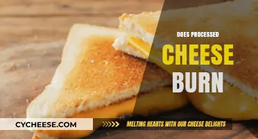 Does Processed Cheese Burn? Unraveling the Melting Mystery in Cooking