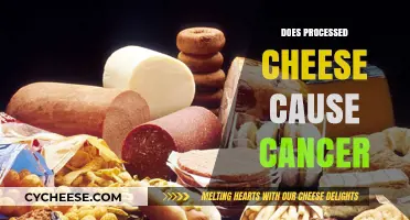 Processed Cheese and Cancer: Unraveling the Health Risks and Facts