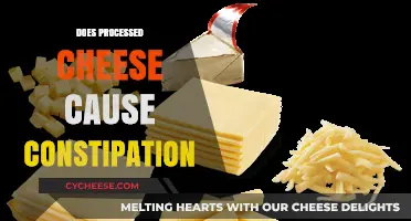 Processed Cheese and Constipation: Unraveling the Digestive Impact