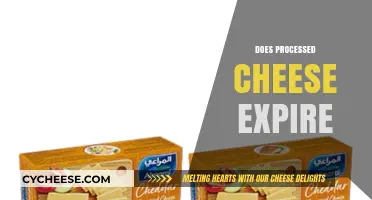 Does Processed Cheese Expire? Shelf Life and Storage Tips Revealed