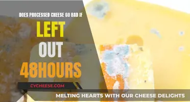 The Danger of Leaving Processed Cheese Out Too Long