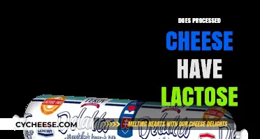 Processed Cheese and Lactose: What You Need to Know