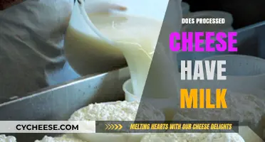 Processed Cheese and Milk: Unraveling the Dairy Connection in Your Slice