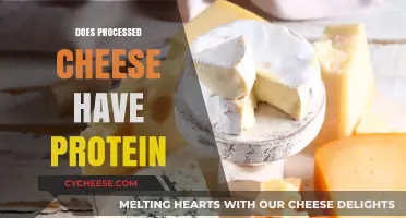 Processed Cheese Protein Content: Uncovering Nutritional Value in Convenience Foods