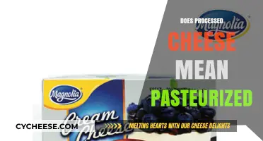 Processed Cheese vs. Pasteurized: Understanding the Difference and Safety