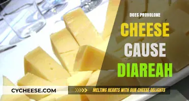 Provolone Cheese and Diarrhea: Unraveling the Digestive Connection