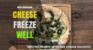 Can Provolone Cheese Be Frozen? Tips for Preserving Its Flavor