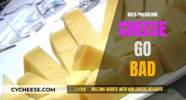 Provolone Cheese: How Long Does It Last?