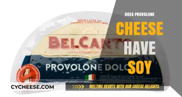 Does Provolone Cheese Contain Soy? A Comprehensive Ingredient Analysis