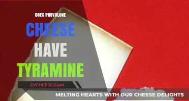 Provolone Cheese and Tyramine: Uncovering the Truth About This Cheese