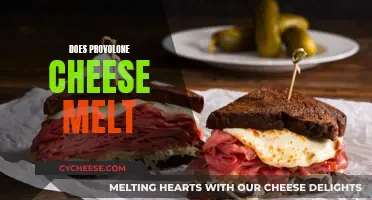 Provolone Cheese: Melting and Recipes