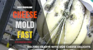 Does Provolone Cheese Mold Quickly? Storage Tips and Facts