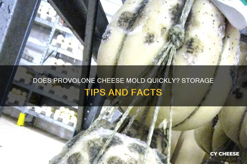 does provolone cheese mold fast