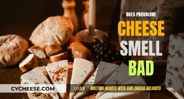 Provolone Cheese: Why Does It Smell So Bad?