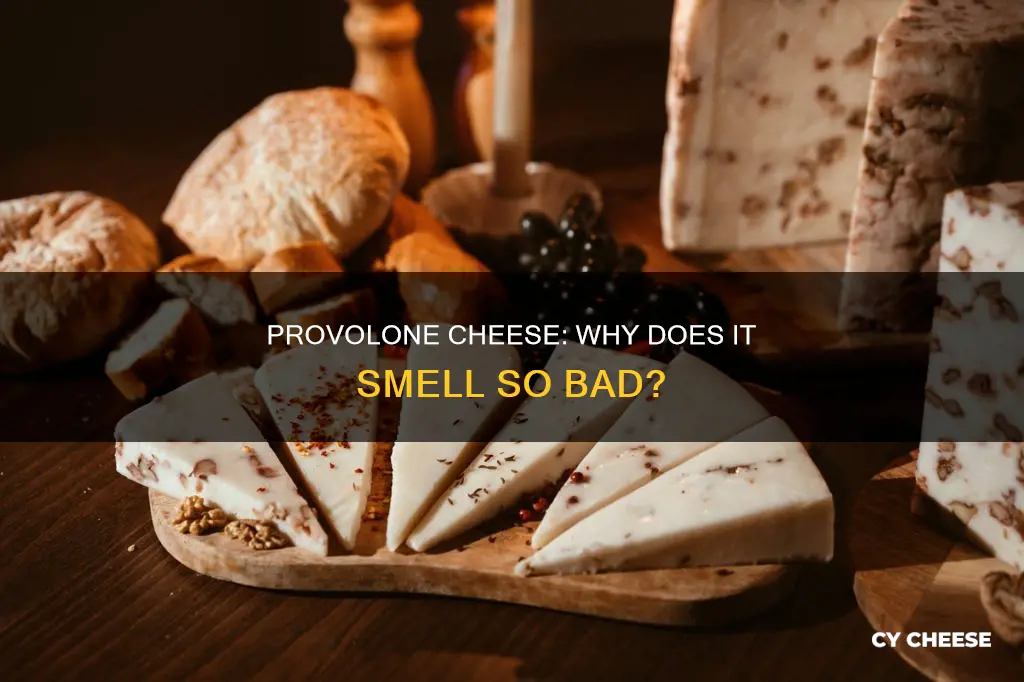 does provolone cheese smell bad