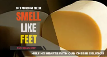 Provolone Cheese: Why Does It Smell Like Feet?
