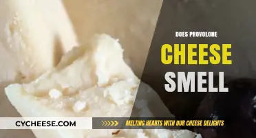 Does Provolone Cheese Smell? Exploring Its Unique Aroma and Flavor