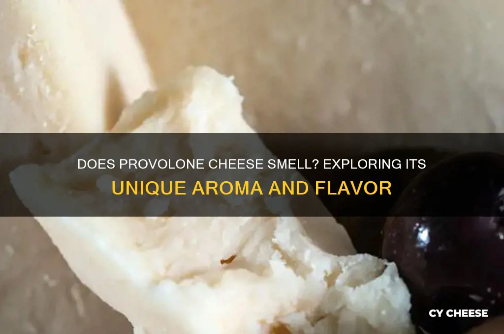 does provolone cheese smell
