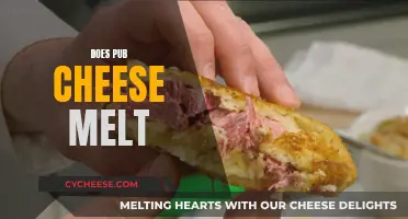 Melting Pub Cheese: A Tasty Adventure