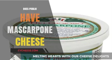 Where to Find Mascarpone Cheese: Does Publix Carry It?