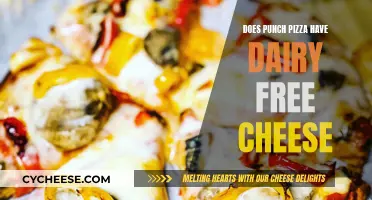 Punch Pizza: Dairy-Free Cheese Options Explored