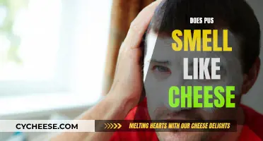 The Stinky Truth: Pus and Cheese Similarities